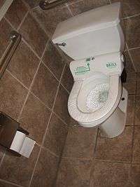 self filmed in toilet
