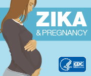 Zika Pregnancy Information