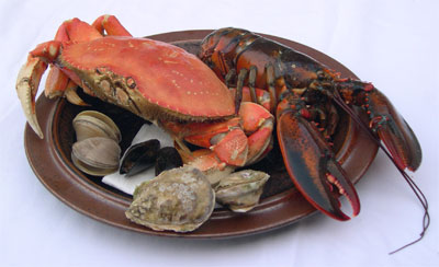 crab, lobster, clams, oysters, mussels