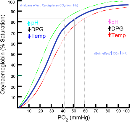 Figure 4. Oxy-Hemoglobin Dissociation Curve. Image Courtesy of Wikimedia Commons viewed in Grethlein SJ and Besa EC. (2012, June 25). Blood Substitutes. Medscape. Retrieved 10/22/13 from http://emedicine.medscape.com/article/207801-overview