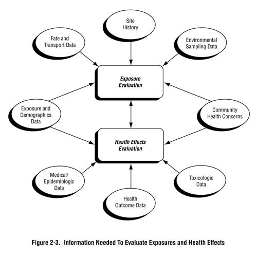 Figure 2-3. Information Needed to Evaluate Exposures and Health Effects