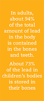 Lead and the Body