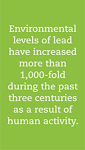 Lead and the Environment