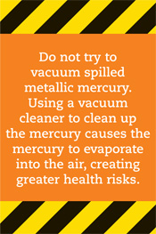 reducing risk mercury exposure