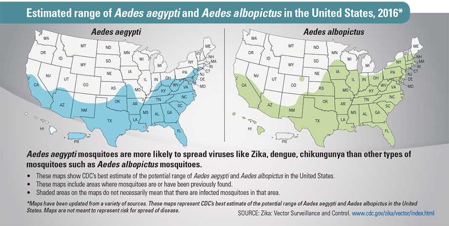 Graphic: Estimated range of Aedes aegypti and Aedes albopictus in the United States, 2016*