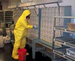 Worker in a hazmat suit checks mailboxes for anthrax