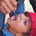 a medic administering polio vaccine drops to a child