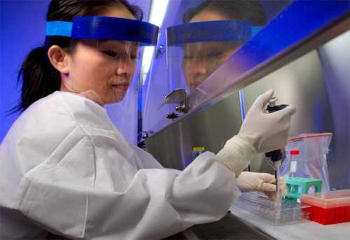 CDC lab technician working in a Biological Safety Cabinet (BSC), conducting a test in order to validate a rapid HIV nucleic acid extraction 