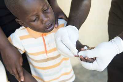 Small child looks on as gloved hands draw blood from his finger for a rapid test.