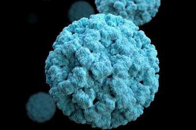 A 3D image of a circular norovirus