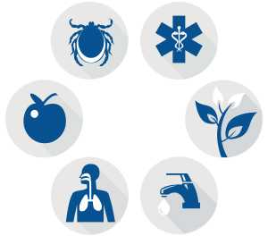 Circle icons arranged in a circle that represents transmission methods - tick for vectorborne, apple for foodborne, lungs in a human form for respiratory, faucet with waterborne, treebranch for environmental, caduceus for healthcare infections.