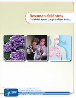 Thumbnail image of cover for ‘Guide to Understanding Anthrax’ in Spanish: Guía básica para comprender el ántrax