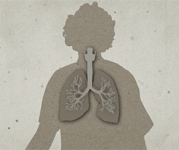 animated gif showing anthrax spores entering lungs and infecting an illustrated person