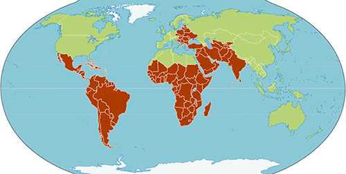 Map of the world showing the sections where anthrax can be found in the agriculture regions.