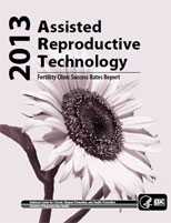 	2013 Fertility Clinic Report cover