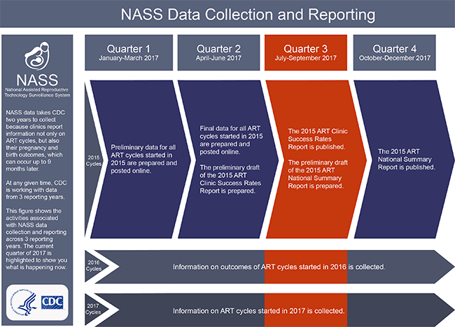 Nass Data Collection and Reporting Description NASS data takes CDC two years to collect because clinics report information on not only ART cycles, but also their pregnancy and birth outcomes, which can occur up to 9 months later. At any given time, CDC is working with data from 3 reporting years. This figure shows the activities associated with NASS data collection and reporting across 3 reporting years. The current quarter of 2015 is highlighted to show you what is happening now. Quarter 1 (January-March 2015) 2013 Cycles – Preliminary data for all ART cycles started in 2013 are prepared and posted online. 2014 Cycles – Information on outcomes of ART cycles started in 2014 is collected. 2015 Cycles – Information on ART cycles started in 2015 is collected. Quarter 2 (April-June 2015) 2013 Cycles – Final data for all ART cycles started in 2013 are prepared and posted online. The preliminary draft of the 2013 ART Clinic Success Rates Report is prepared. 2014 Cycles – Information on outcomes of ART cycles started in 2014 is collected. 2015 Cycles – Information on ART cycles started in 2015 is collected. Quarter 3 (July-September 2015) 2013 Cycles – The 2013 ART Clinic Success Rates Report is published. The preliminary draft of the 2013 ART National Summary report is prepared. 2014 Cycles – Information on outcomes of ART cycles started in 2014 is collected. 2015 Cycles – Information on ART cycles started in 2015 is collected. Quarter 4 (October-December 2015) 2013 Cycles – The 2013 ART National Summary Report is published. 2014 Cycles – Information on outcomes of ART cycles started in 2014 is collected. 2015 Cycles – Information on ART cycles started in 2015 is collected. 