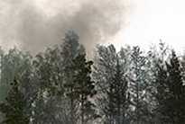 El humo producido por un incendio forestal.