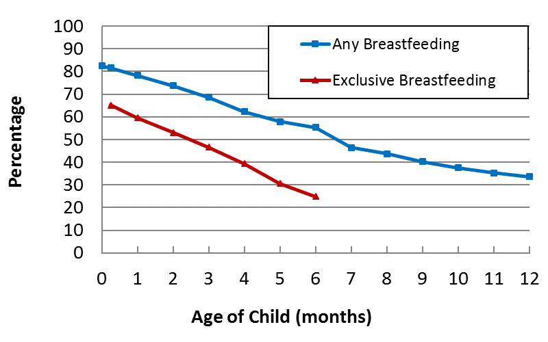 3. Rates of Any and Exclusive Breastfeeding by Age Among Children Born in 2014, National Immunization Survey, United States - This chart displays the percentage of infants born in 2014 who were breastfed to any extent or exclusively breastfed during the first year of life. While percentage of infants breastfed to any extent decreased from 82.5% at birth to 33.7% at 12 months of age, percentage of infants exclusively breastfed decreased from 65.1% at 7 days to 24.9% at 6 months of age.