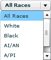 Race/Ethnicity Drop-Down List