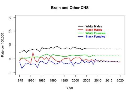 Graph showing actual and projected incidence rates for brain and other central nervous system cancers by race and sex, United States, 1975 to 2020