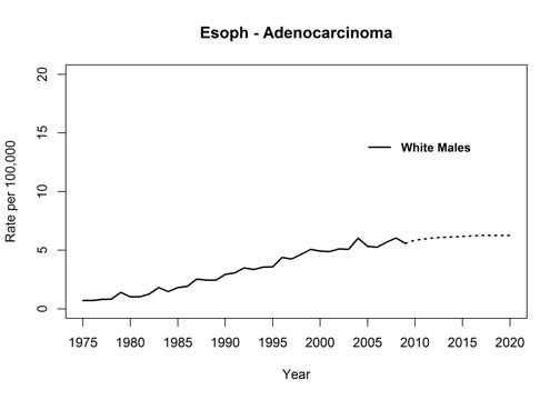 Graph showing actual and projected incidence rates for adenocarcinoma of the esophagus for white males, United States, 1975 to 2020