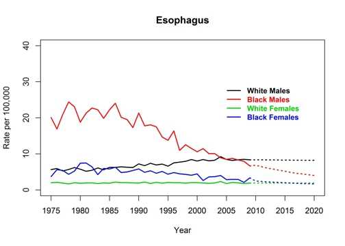 Graph showing actual and projected incidence rates for esophogeal cancer by race and sex, United States, 1975 to 2020