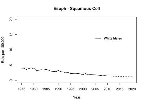 Graph showing actual and projected incidence rates for squamous cell cancer of the esophagus for white males, United States, 1975 to 2020