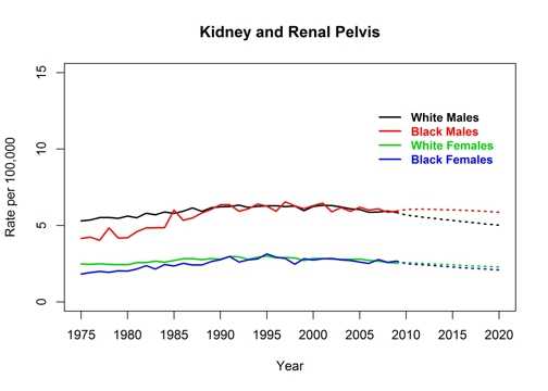 Graph showing actual and projected death rates for cancer of the kidney and renal pelvis by race and sex, United States, 1975 to 2020