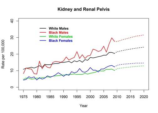 Graph showing actual and projected incidence rates for cancer of the kidney and renal pelvis by race and sex, United States, 1975 to 2020
