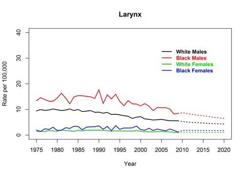 Graph showing actual and projected incidence rates for cancer of the larynx by race and sex, United States, 1975 to 2020