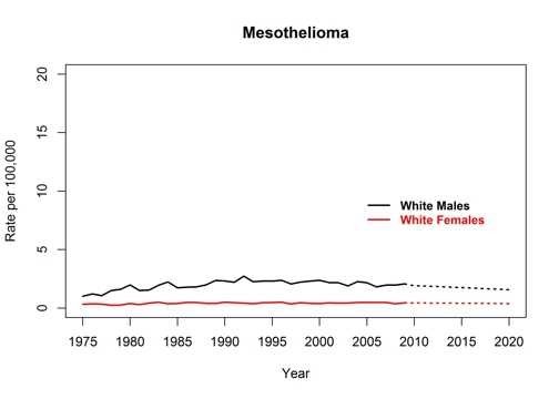 Graph showing actual and projected incidence rates for mesothelioma for white males and females, United States, 1975 to 2020