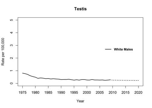 Graph showing actual and projected death rates for testicular cancer for white men, United States, 1975 to 2020