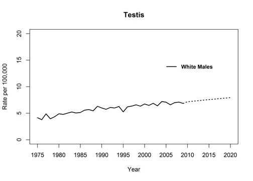 Graph showing actual and projected incidence rates for testicular cancer for white men, United States, 1975 to 2020