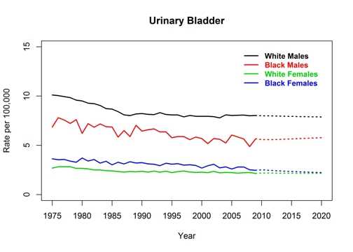Graph showing actual and projected death rates for urinary bladder cancer by race and sex, United States, 1975 to 2020