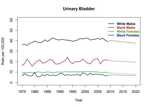 Graph showing actual and projected incidence rates for urinary bladder cancer by race and sex, United States, 1975 to 2020
