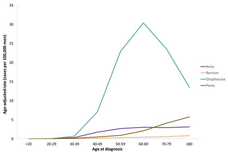 Line chart showing the median age at diagnosis for HPV-associated cancers among men.