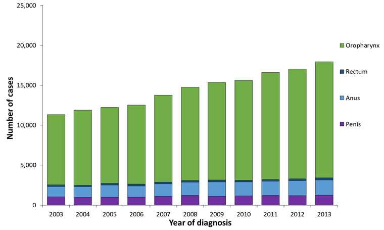 This graph shows the number of HPV-associated cancers among men by year and cancer site in the United States from 2003 to 2013. Among men diagnosed with HPV-associated penile cancer, there were 1,029 cases in 2003, 983 in 2004, 1,009 in 2005, 1,020 in 2006, 1,102 in 2007, 1,207 in 2008, 1,091 in 2009, 1,165 in 2010, 1,213 in 2011, 1,194 in 2012, and 1,241 in 2013. Among men diagnosed with HPV-associated anal cancer, there were 1,319 cases in 2003, 1,323 in 2004, 1,503 in 2005, 1,386 in 2006, 1,555 in 2007, 1,663 in 2008, 1,800 in 2009, 1,730 in 2010, 1,777 in 2011, 1,849 in 2012, and 1,910 in 2013. Among men diagnosed with HPV-associated rectal cancer, there were 184 cases in 2003, 181 in 2004, 202 in 2005, 220 in 2006, 223 in 2007, 229 in 2008, 260 in 2009, 226 in 2010, 219 in 2011, 253 in 2012, and 261 in 2013. Among men diagnosed with HPV-associated oropharyngeal cancer, there were 8,782 cases in 2003, 9,421 in 2004, 9,512 in 2005, 9,915 in 2006, 10,875 in 2007, 11,668 in 2008, 12,198 in 2009, 12,493 in 2010, 13,424 in 2011, 13,735 in 2012, and 14,532 in 2013.