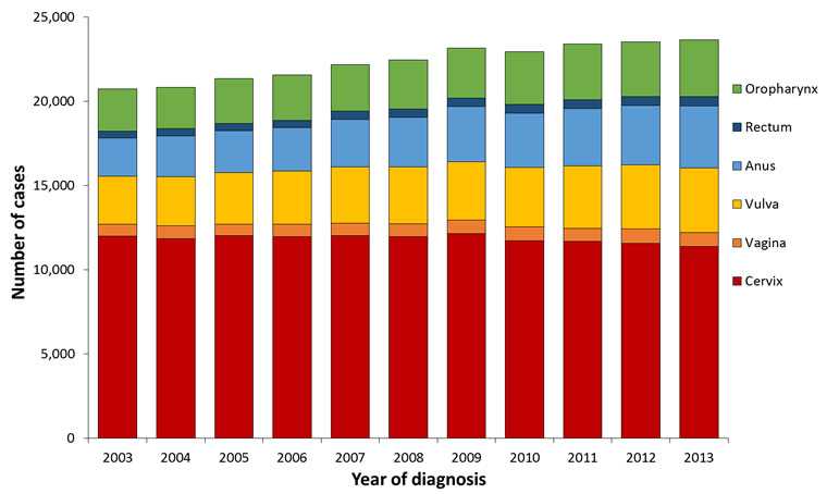 This graph shows the number of HPV-associated cancers among women by year and cancer site in the United States from 2003 to 2013. Among women diagnosed with HPV-associated cervical cancer, there were 11,994 cases in 2003, 11,845 in 2004, 12,036 in 2005, 11,969 in 2006, 12,021 in 2007, 11,974 in 2008, 12,134 in 2009, 11,723 in 2010, 11,680 in 2011, 11,552 in 2012, and 11,376 in 2013. Among women diagnosed with HPV-associated vaginal cancer, there were 699 cases in 2003, 754 in 2004, 671 in 2005, 738 in 2006, 753 in 2007, 770 in 2008, 798 in 2009, 818 in 2010, 779 in 2011, 865 in 2012, and 835 in 2013. Among women diagnosed with HPV-associated vulvar cancer, there were 2,866 cases in 2003, 2,929 in 2004, 3,044 in 2005, 3,154 in 2006, 3,314 in 2007, 3,344 in 2008, 3,482 in 2009, 3,523 in 2010, 3,700 in 2011, 3,804 in 2012, and 3,844 in 2013. Among women diagnosed with HPV-associated anal cancer, there were 2,250 cases in 2003, 2,415 in 2004, 2,490 in 2005, 2,566 in 2006, 2,841 in 2007, 2,956 in 2008, 3,269 in 2009, 3,228 in 2010, 3,403 in 2011, 3,529 in 2012, and 3,653 in 2013. Among women diagnosed with HPV-associated rectal cancer, there were 412 cases in 2003, 439 in 2004, 429 in 2005, 434 in 2006, 470 in 2007, 493 in 2008, 498 in 2009, 524 in 2010, 536 in 2011, 521 in 2012, 562 in 2013. Among women diagnosed with HPV-associated oropharyngeal cancer, there were 2,521 cases in 2003, 2,434 in 2004, 2,682 in 2005, 2,687 in 2006, 2,768 in 2007, 2,918 in 2008, 2,964 in 2009, 3,130 in 2010, 3,294 in 2011, 3,247 in 2012, and 3,381 in 2013.