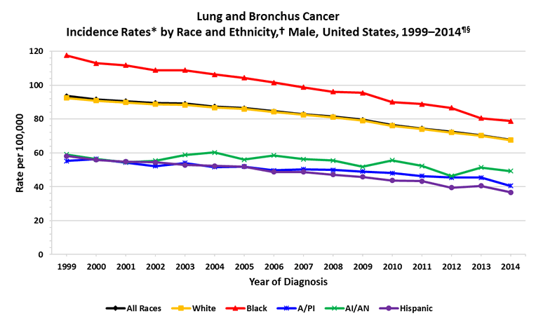 Line chart showing the changes in lung cancer incidence rates for males of various races and ethnicities.