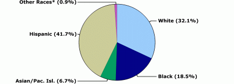 White: 32.1%, Black: 18.5%, Asian/Pacific Islander: 6.7%, Hispanic: 41.7%, Other races: 0.9%.