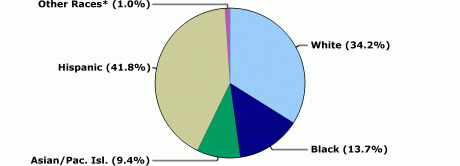 White: 34.2%, Black: 13.7%, Asian/Pacific Islander: 9.4%, Hispanic: 41.8%, Other races: 1.0%.