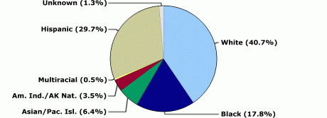 White: 40.7%, Black: 17.8%, Asian/Pacific Islander: 6.4%, American Indian/Alaska Native: 3.5%, Multiracial: 0.5%, Hispanic: 29.7%, Unknown: 1.3%.