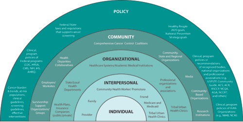Illustration of the National Breast and Cervical Cancer Early Detection Program's Social Ecological Model