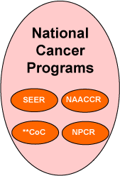 National Cancer Programs and Organizations