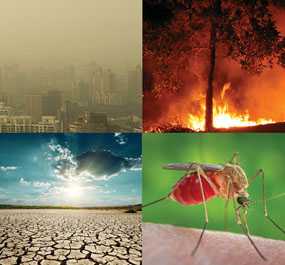 Image of smog, fires, drought plains, and a mosquito