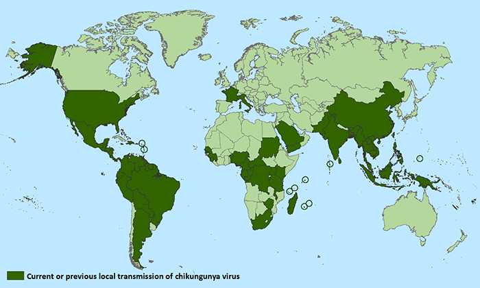 Countries with current or previous local transmission of chikungunya virus, listed in below data table