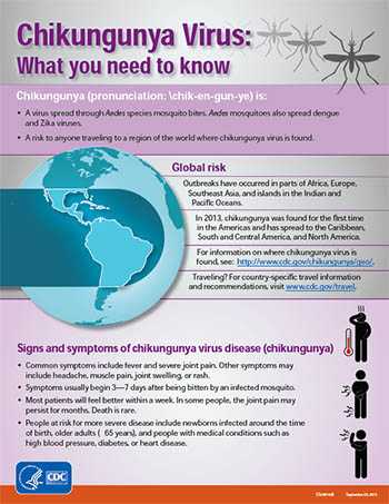 Chikungunya Virus: What you need to know fact sheet thumbnail