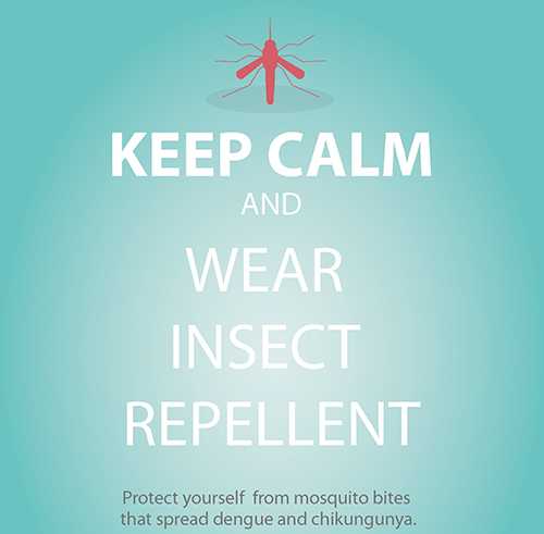Poster: Protect yourself form mosquito bites