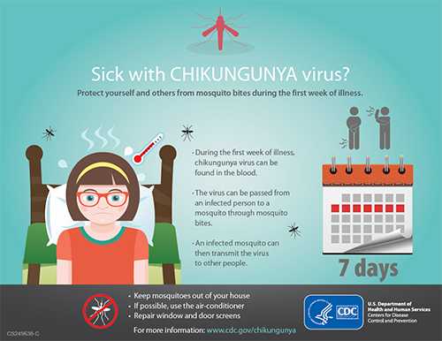 Poster - Keep calm and wear insect repellent.  Protect yourself from mosquito bites that spread West Nile and chikungunya