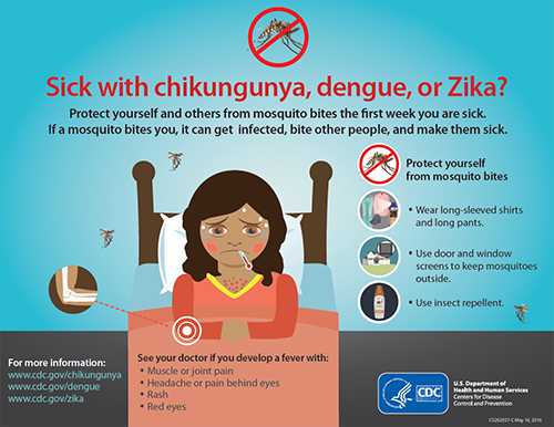 Sick with chikungunya, dengue, or Zika? poster thumbnail